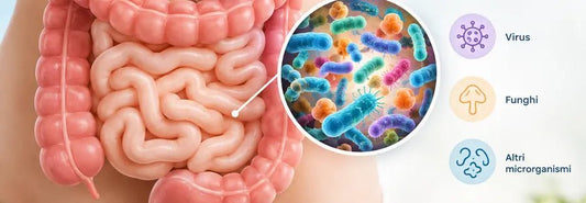 Microbiota intestinale: cos’è e perché è importante per il benessere - Nutrimaris