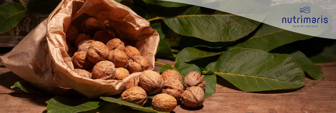 Quante noci al giorno dovrei mangiare? - Nutrimaris